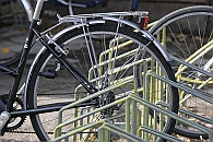 Img 138